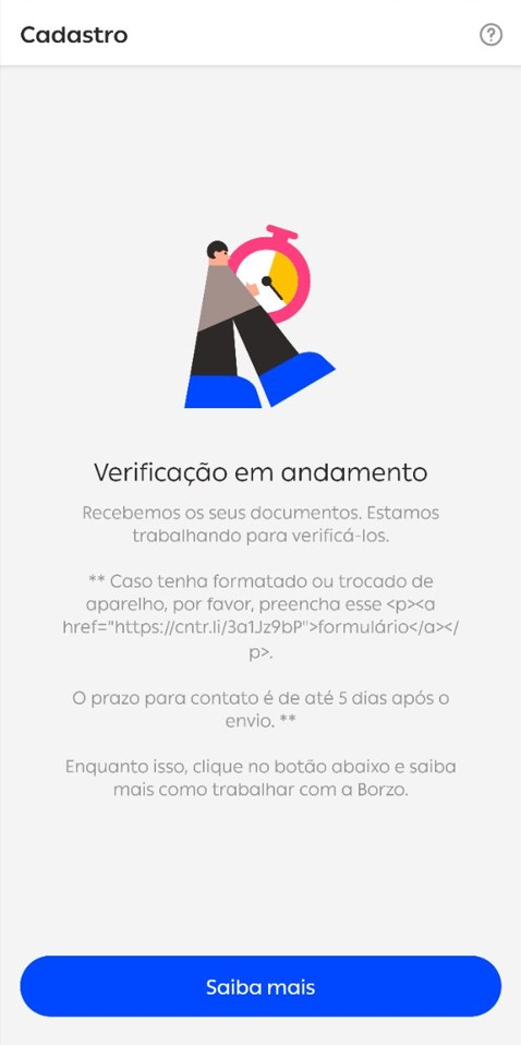 Envia ticket de consulta - borzo app - courier